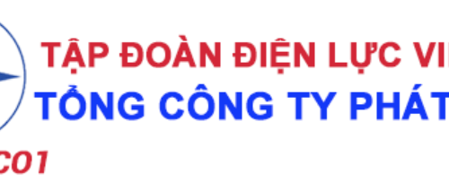 CÔNG TY NHIỆT ĐIỆN DUYÊN HẢI tuyển dụng